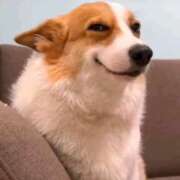 ヒメ日記 2026/03/20 08:10 投稿 なお ファンタジー福島店～福島でデリヘルもメンズエステも楽しめる素敵なお店～