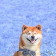 ヒメ日記 2026/03/26 23:10 投稿 なお ファンタジー福島店～福島でデリヘルもメンズエステも楽しめる素敵なお店～