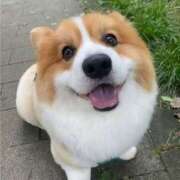 ヒメ日記 2026/03/27 07:55 投稿 なお ファンタジー福島店～福島でデリヘルもメンズエステも楽しめる素敵なお店～