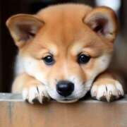 ヒメ日記 2026/03/29 00:45 投稿 なお ファンタジー福島店～福島でデリヘルもメンズエステも楽しめる素敵なお店～