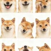 ヒメ日記 2026/03/29 08:55 投稿 なお ファンタジー福島店～福島でデリヘルもメンズエステも楽しめる素敵なお店～