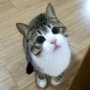 ヒメ日記 2026/04/02 07:15 投稿 なお ファンタジー福島店～福島でデリヘルもメンズエステも楽しめる素敵なお店～