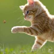 ヒメ日記 2026/04/03 07:50 投稿 なお ファンタジー福島店～福島でデリヘルもメンズエステも楽しめる素敵なお店～