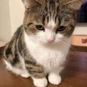 ヒメ日記 2026/04/04 01:55 投稿 なお ファンタジー福島店～福島でデリヘルもメンズエステも楽しめる素敵なお店～