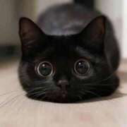 ヒメ日記 2026/04/08 07:35 投稿 なお ファンタジー福島店～福島でデリヘルもメンズエステも楽しめる素敵なお店～