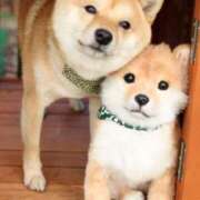 ヒメ日記 2026/04/09 23:35 投稿 なお ファンタジー福島店～福島でデリヘルもメンズエステも楽しめる素敵なお店～