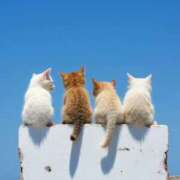 ヒメ日記 2026/04/14 07:05 投稿 なお ファンタジー福島店～福島でデリヘルもメンズエステも楽しめる素敵なお店～