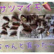 ヒメ日記 2025/11/19 18:03 投稿 かなえ M-1福島壱萬店（えむわんふくしまいちまんてん）