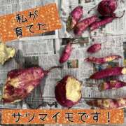 ヒメ日記 2025/12/05 14:33 投稿 かなえ M-1福島壱萬店（えむわんふくしまいちまんてん）