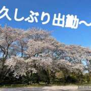 ヒメ日記 2026/04/17 15:33 投稿 かなえ M-1福島壱萬店（えむわんふくしまいちまんてん）