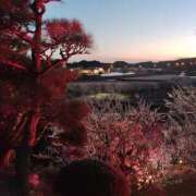 ヒメ日記 2025/02/26 00:02 投稿 すみれ〔Cクラス〕 GOEN(ゴエン)