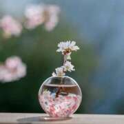 ヒメ日記 2025/02/27 22:00 投稿 すみれ〔Cクラス〕 GOEN(ゴエン)