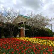 ヒメ日記 2025/04/04 23:25 投稿 すみれ〔Cクラス〕 GOEN(ゴエン)