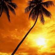 ヒメ日記 2025/07/29 21:46 投稿 すみれ〔Cクラス〕 GOEN(ゴエン)