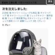 ヒメ日記 2025/04/07 12:02 投稿 りお クラブハウスシェル