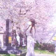 ヒメ日記 2025/04/10 12:02 投稿 りお クラブハウスシェル