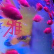 ヒメ日記 2025/10/20 08:00 投稿 りお クラブハウスシェル