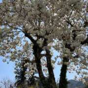 ヒメ日記 2025/03/31 18:21 投稿 ★ハッピィ★ AQUA(アクア)