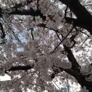 ヒメ日記 2025/04/07 03:34 投稿 ひなみ ごほうびSPA神戸店