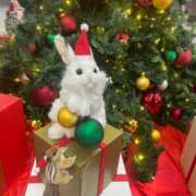 ヒメ日記 2024/12/23 18:50 投稿 ゆき エディーズ