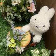 ゆき ありがとう(人･_･)♡ エディーズ