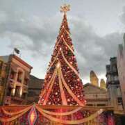 ヒメ日記 2024/12/20 11:03 投稿 まいこ 大奥 梅田店