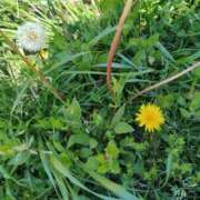 ヒメ日記 2025/05/09 08:38 投稿 まいこ 大奥 梅田店