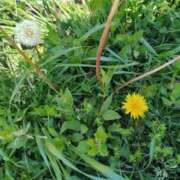 ヒメ日記 2025/05/09 08:51 投稿 まいこ 大奥 梅田店