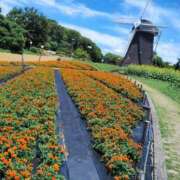 ヒメ日記 2025/07/31 11:44 投稿 まいこ 大奥 梅田店