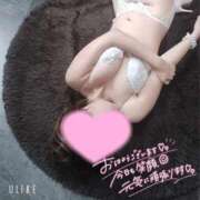 ヒメ日記 2025/09/15 07:30 投稿 まいこ 大奥 梅田店