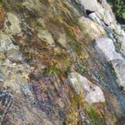 ヒメ日記 2025/09/20 12:41 投稿 まいこ 大奥 梅田店