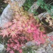 ヒメ日記 2025/11/07 09:01 投稿 まいこ 大奥 梅田店