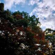 ヒメ日記 2025/11/12 10:29 投稿 まいこ 大奥 梅田店