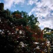 ヒメ日記 2025/11/12 10:41 投稿 まいこ 大奥 梅田店