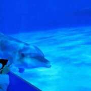 ヒメ日記 2026/01/19 08:21 投稿 まいこ 大奥 梅田店