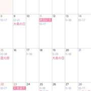 ヒメ日記 2026/02/01 07:11 投稿 まいこ 大奥 梅田店