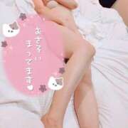 ヒメ日記 2026/02/20 09:41 投稿 まいこ 大奥 梅田店