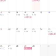 ヒメ日記 2026/04/11 08:41 投稿 まいこ 大奥 梅田店