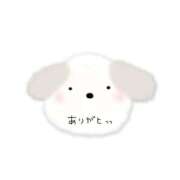 ヒメ日記 2026/05/11 19:40 投稿 るいな 逆電車ごっこ ～GLAMOROUS TRAIN～