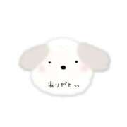ヒメ日記 2026/05/13 20:00 投稿 るいな 逆電車ごっこ ～GLAMOROUS TRAIN～