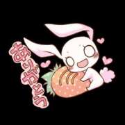 ヒメ日記 2025/09/01 09:30 投稿 るい 茨城ちゃんこ土浦つくば店