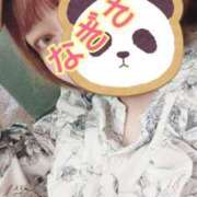 ヒメ日記 2025/01/15 13:11 投稿 なぎさ 私立にじいろ女学園～横浜校～