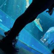 ヒメ日記 2024/12/18 22:02 投稿 しゅり 人妻㊙︎倶楽部