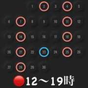 ヒメ日記 2025/03/24 13:10 投稿 八神心呂 ハールブルク