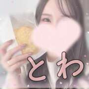 ヒメ日記 2024/12/09 14:57 投稿 とわ 千葉人妻セレブリティ（ユメオト）