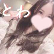 ヒメ日記 2025/03/26 16:51 投稿 とわ 千葉人妻セレブリティ（ユメオト）