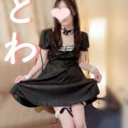 ヒメ日記 2025/04/03 19:27 投稿 とわ 千葉人妻セレブリティ（ユメオト）