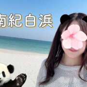 ヒメ日記 2025/04/11 17:17 投稿 とわ 千葉人妻セレブリティ（ユメオト）