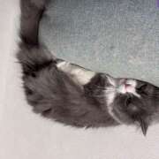 ヒメ日記 2025/04/25 09:20 投稿 とわ 千葉人妻セレブリティ（ユメオト）