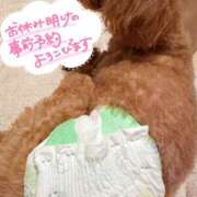 ヒメ日記 2025/07/10 22:54 投稿 とわ 千葉人妻セレブリティ（ユメオト）